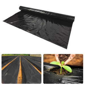 mulch film