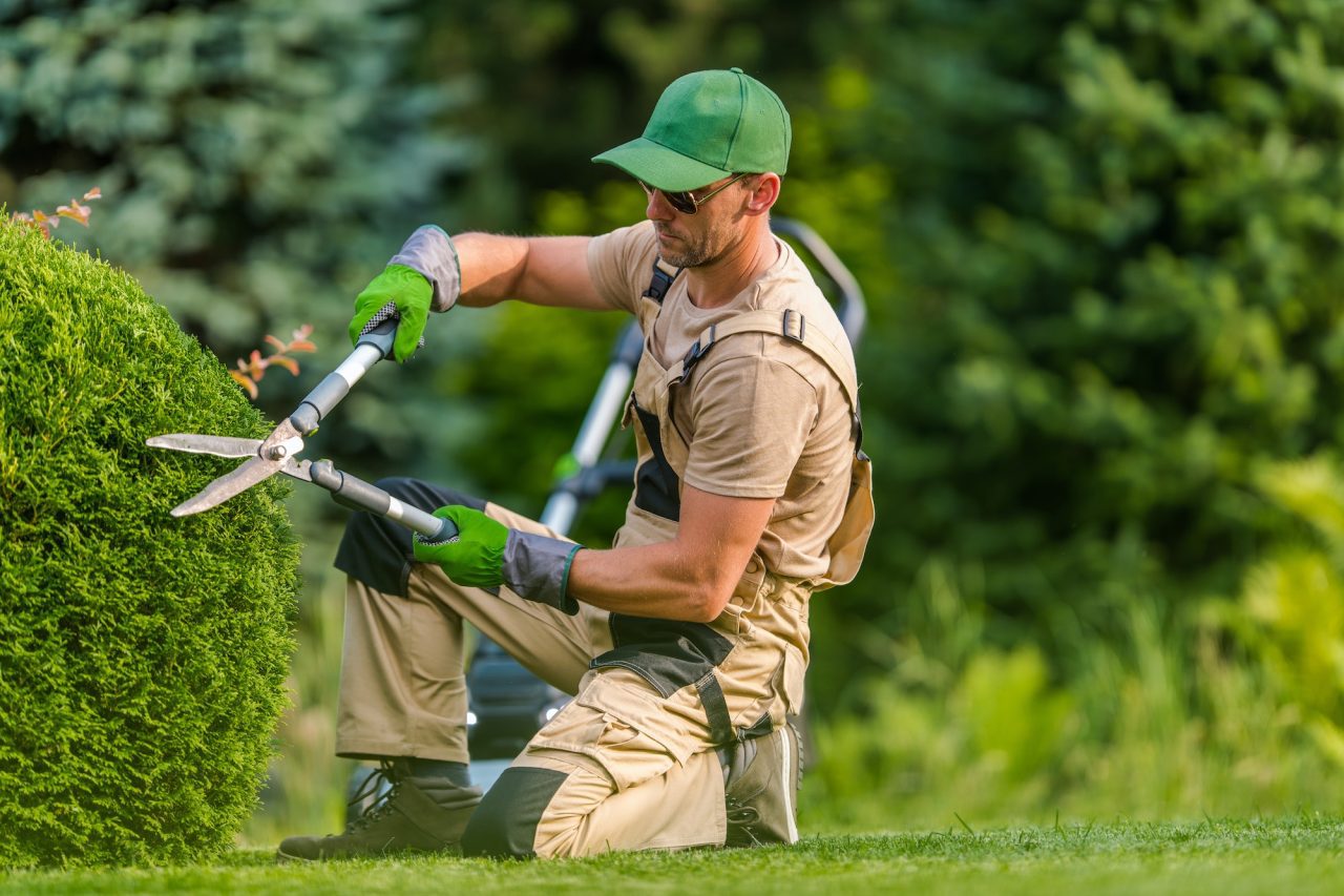 professional-garden-worker-trimming-plants-using-scissors.jpg