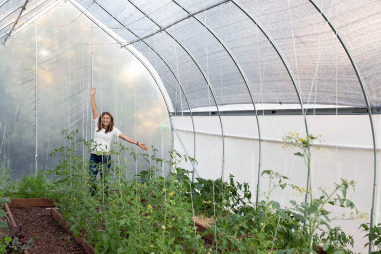 agriculture plastic film