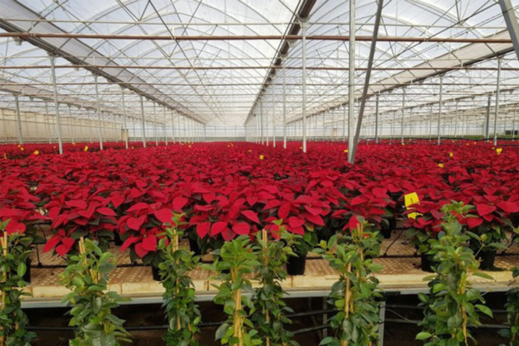 agricultural plastic sheeting