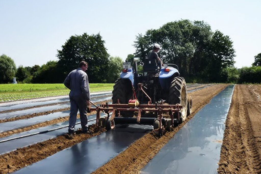 agriculture plastic film