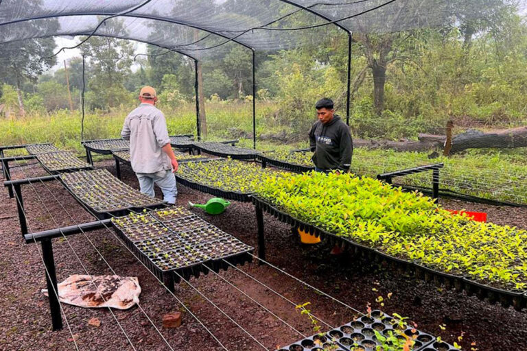 agricultural plastic sheeting