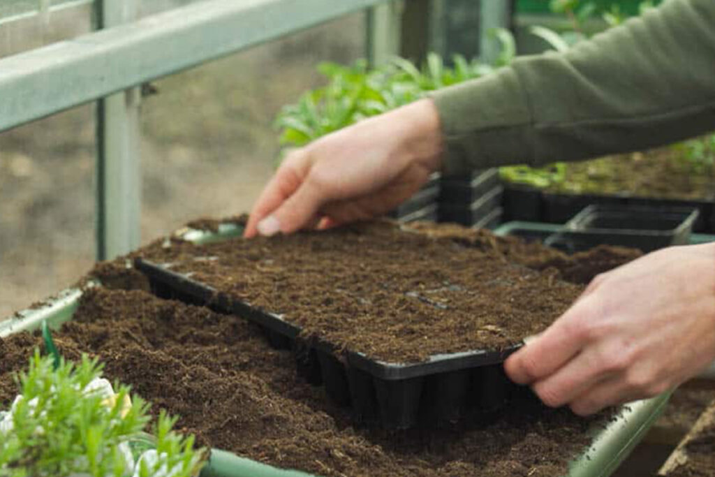 agriculture plastic sheets