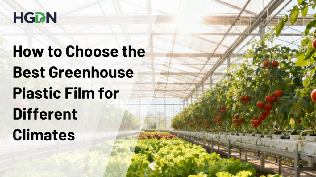The Best Greenhouse Plastic Film