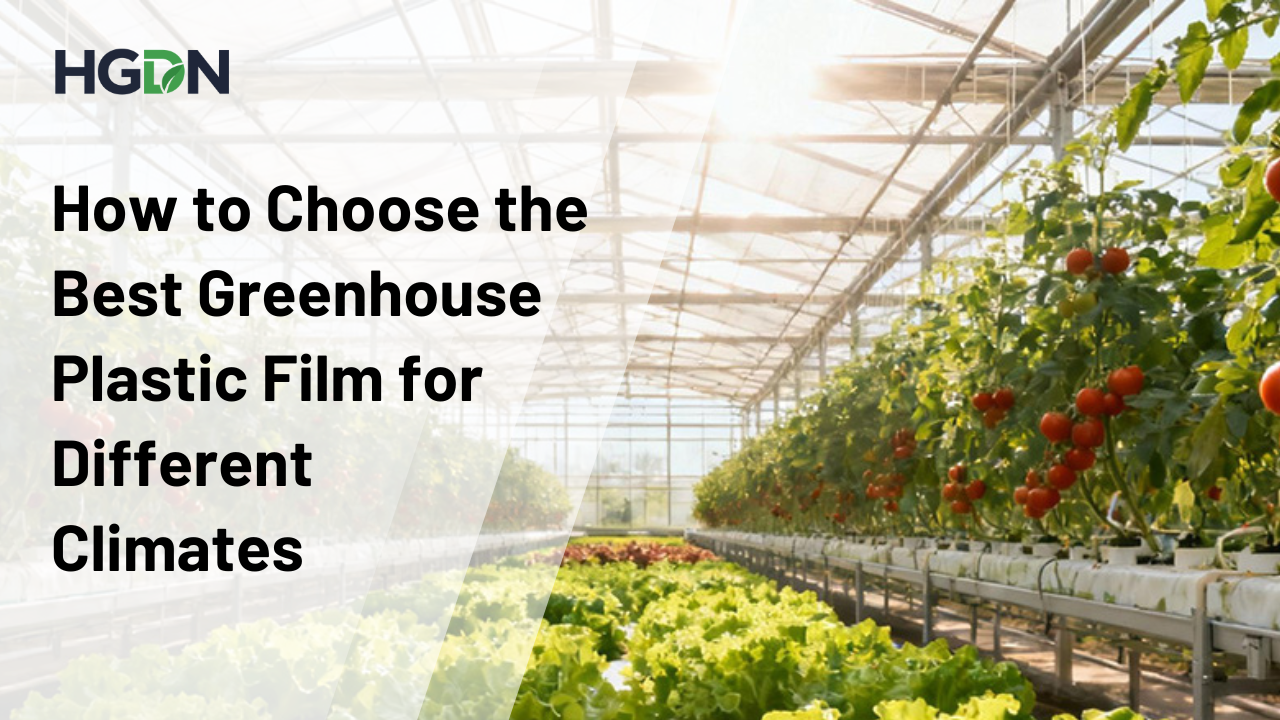 The Best Greenhouse Plastic Film