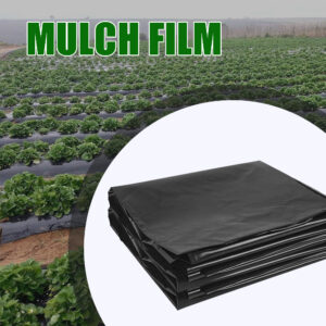 Black agricultural mulch film used in a commercial crop field